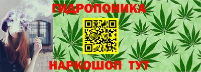 экстази Боровичи