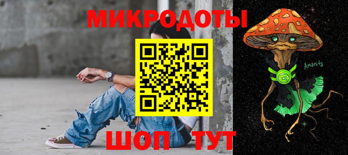 Моздок  Псилоцибиновые грибы Psilocybine cubensis  Вход с VPN  Псилоцибиновые грибы Psilocybine cubensis 